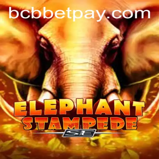 Unveiling the Exciting World of ElephantStampedeSE and the Buzz Around bcbbet